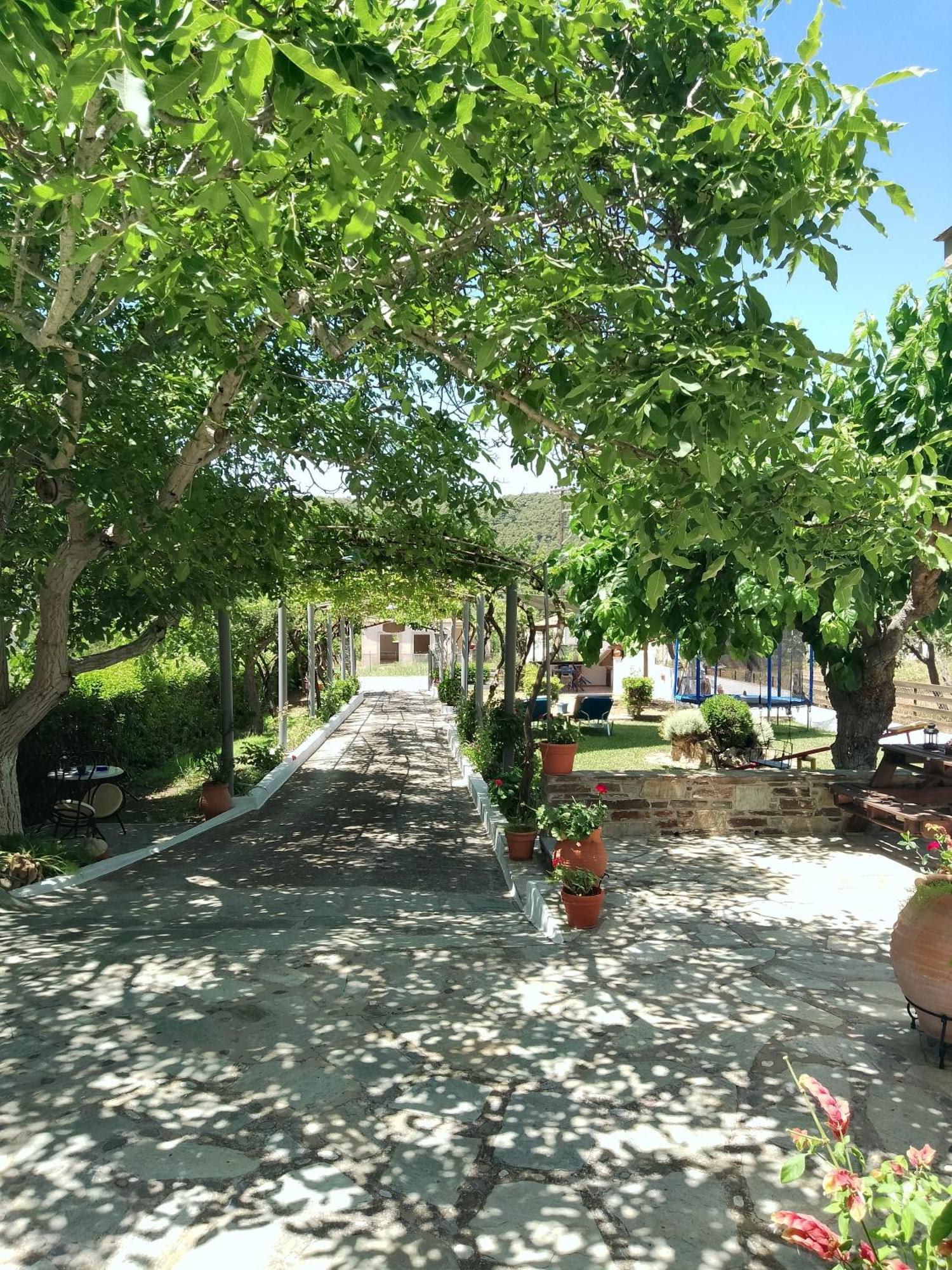 Alexandra Studios Стафілос Екстер'єр фото